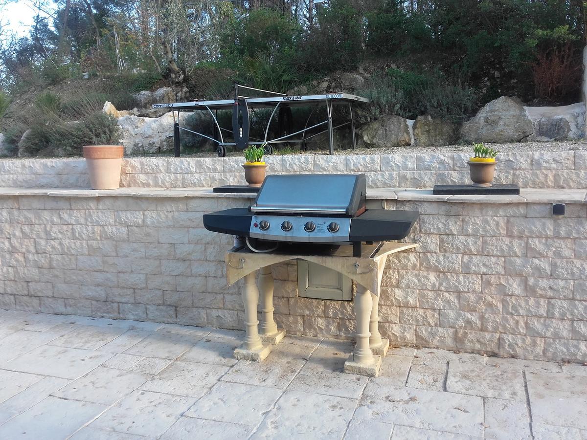 French Riviera Gaudissard Villa ว็องส์ ภายนอก รูปภาพ